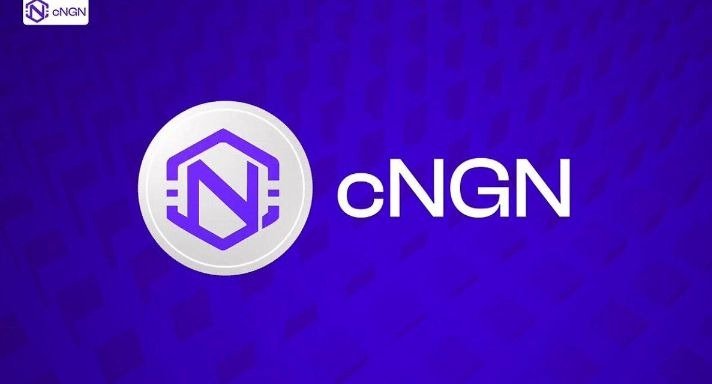 Nigerian Fintechs Are Not Integrating cNGN,' Say Nigerian Web3 Leaders
